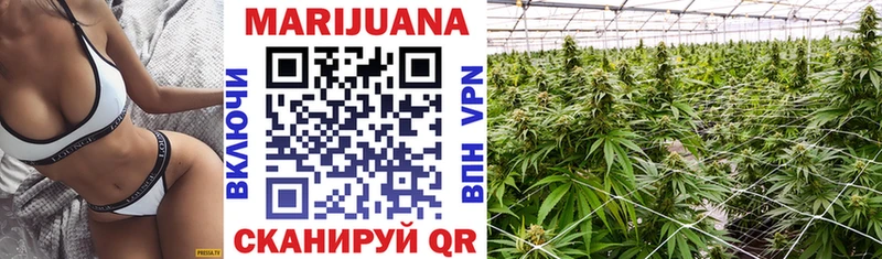 Купить закладку Кологрив Канабис  Мефедрон  АМФ  ГАШ 