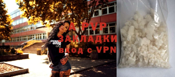 прущие крисы Балахна