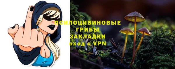 прущие крисы Балахна
