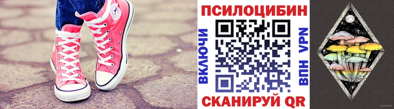 Псилоцибиновые грибы прущие грибы  Кологрив 